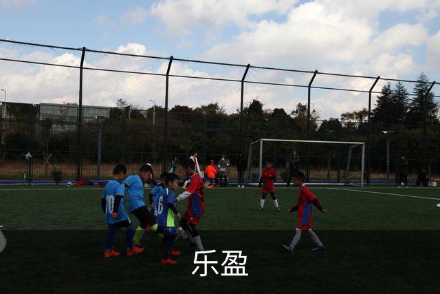 乐盈公司简介